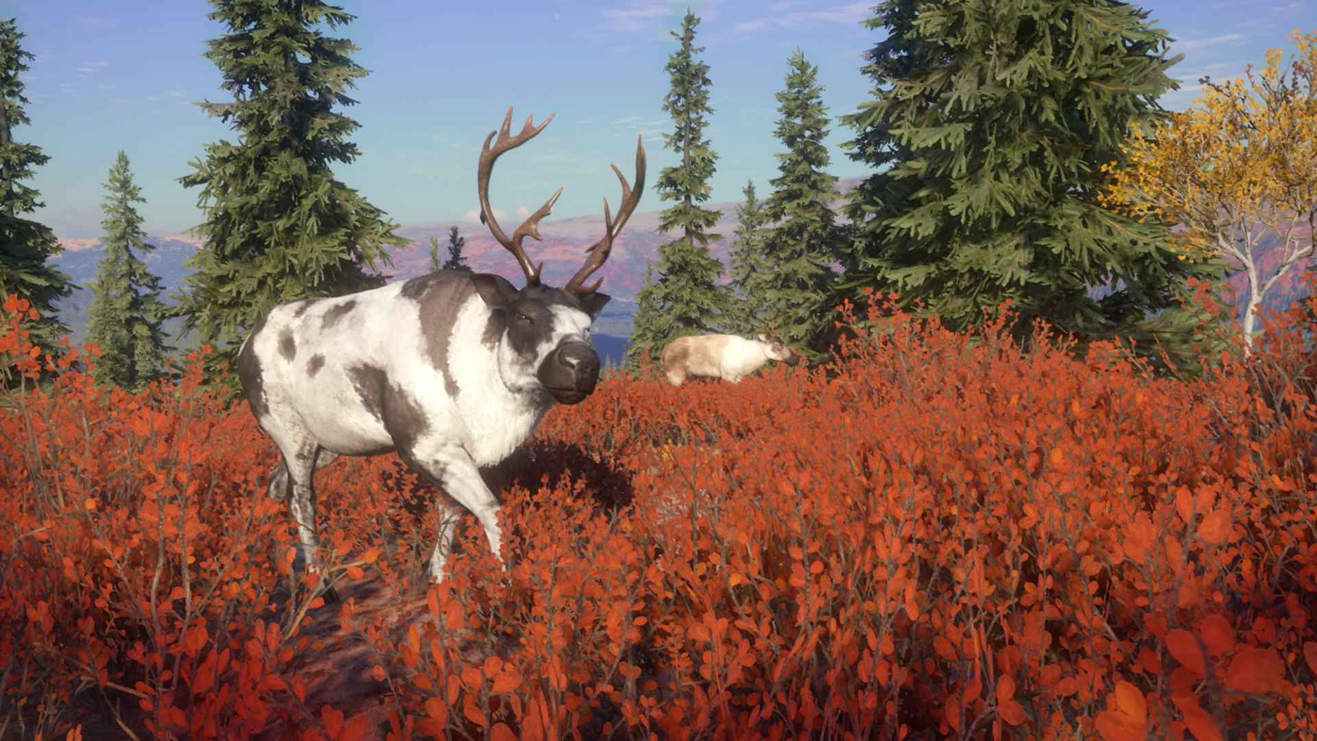 theHunter: Call of the Wild - Yukon Valley
