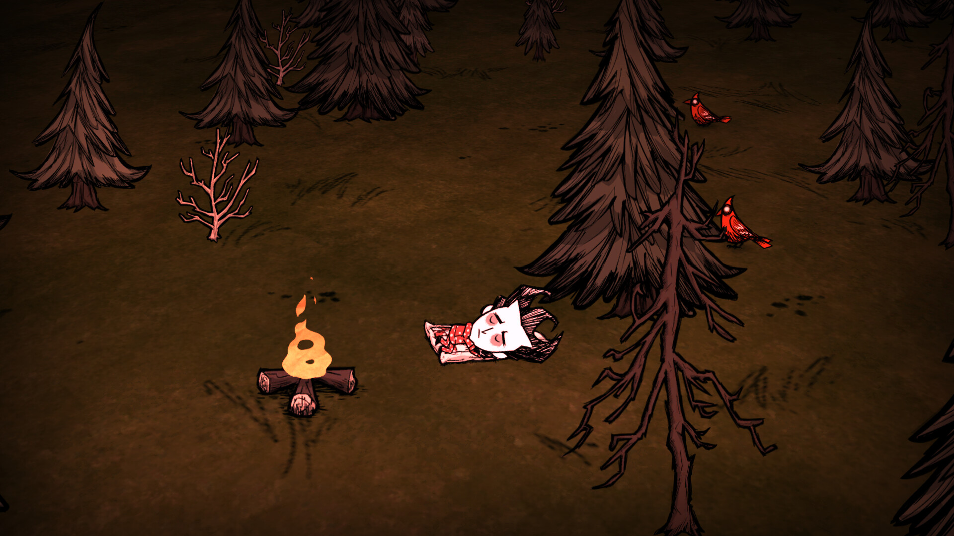 Dont Starve Together: Starter Pack 2026