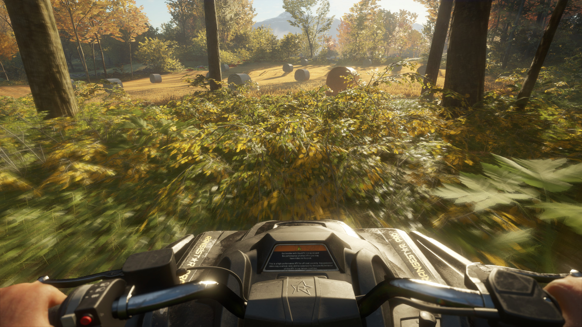 theHunter: Call of the Wild - ATV SABER 4X4