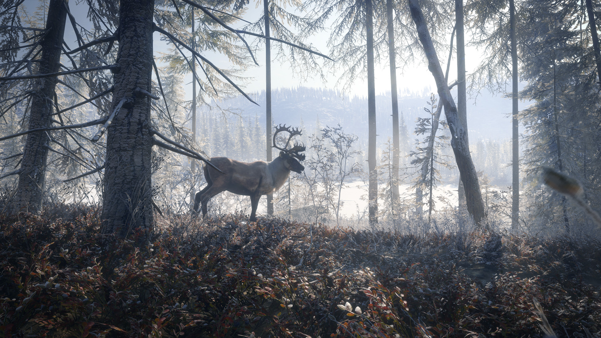 theHunter: Call of the Wild - Medved-Taiga